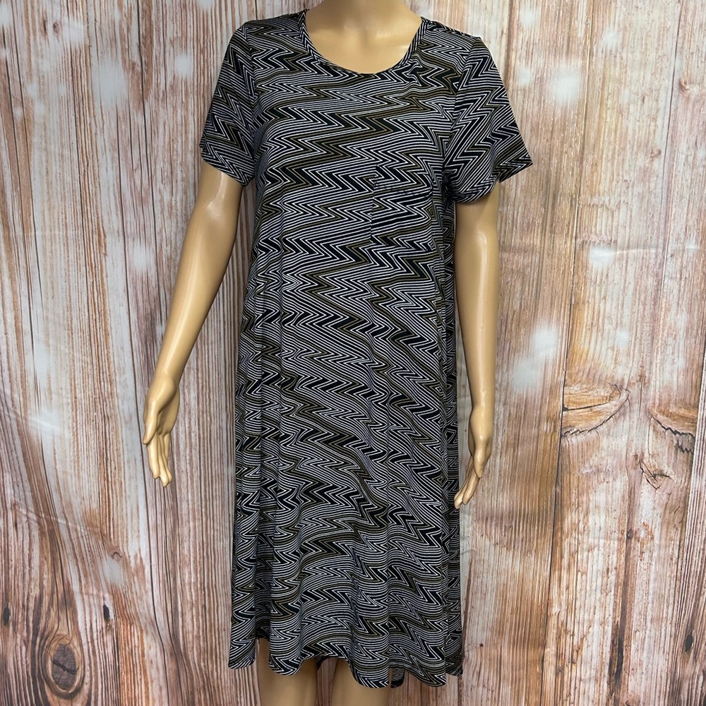 LuLaRoe Carly Swing Dress